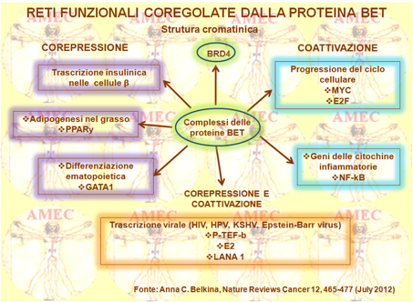 Descargar enciclopedia universal micronet 2012