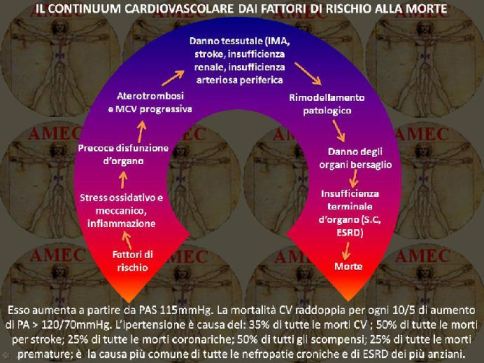 Il continuum cardiovascolare dai fattori di rischio alla morte
