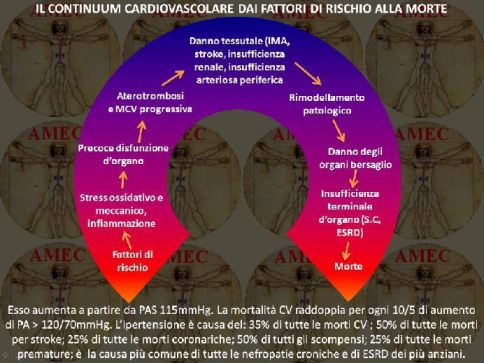 Il continuum cardiovascolare dai fattori di rischio alla morte