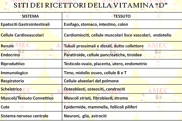 Siti dei recettori della vitamina D