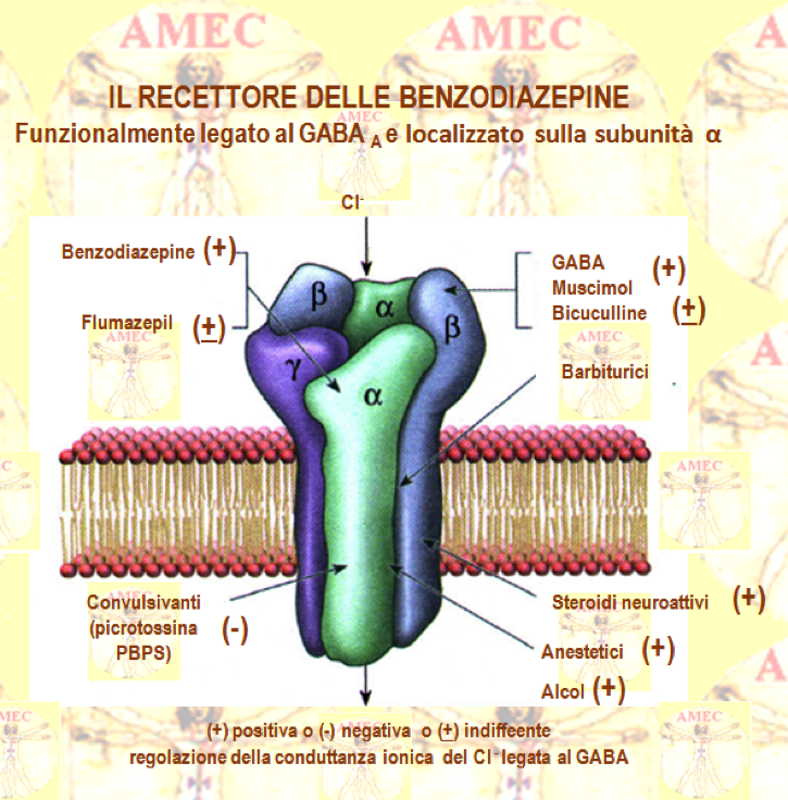 La cosa più importante che devi sapere sulla thomas benagli steroidi