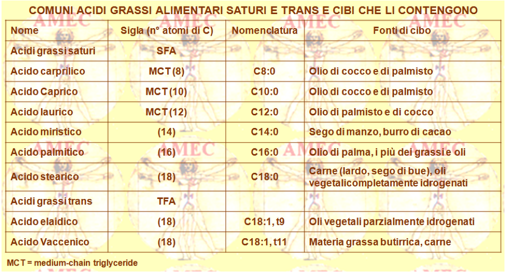 Comuni acidi grassi alimentari saturi e trans e cibi che li contengono