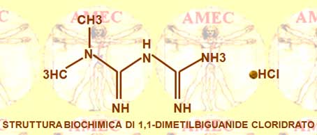 Struttura biochimica di 1,1-dimetilbiguanide cloridrato
